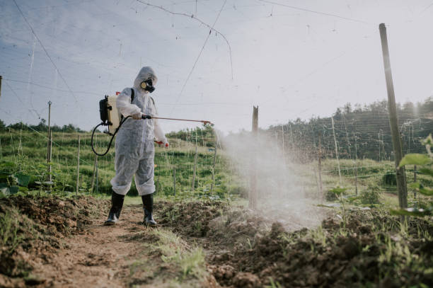 Best Ant Control Services  in Ferrum, VA