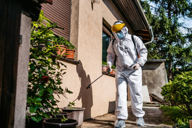 Wasp Removal Services in Ferrum, VA