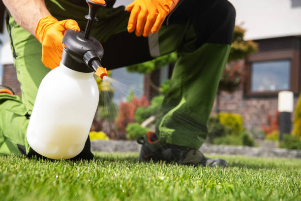 Best Cockroach Control Services  in Ferrum, VA