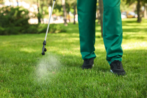 Best Pest Control Treatment  in Ferrum, VA